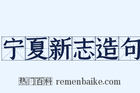 宁夏新志造句是什么意思的图片